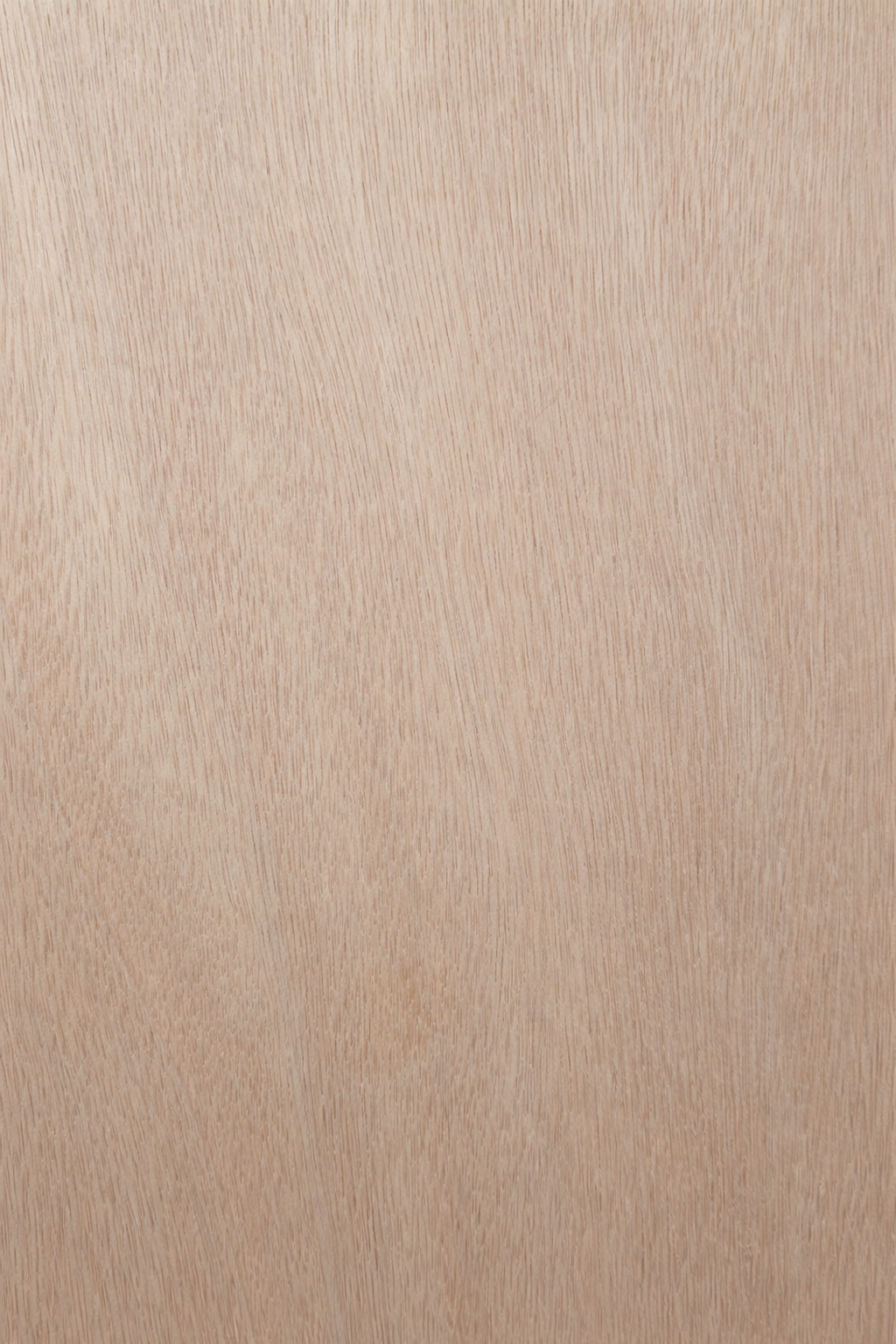 Madera 14
