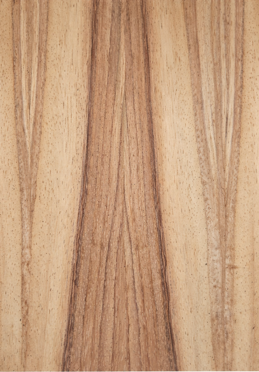 Madera 16