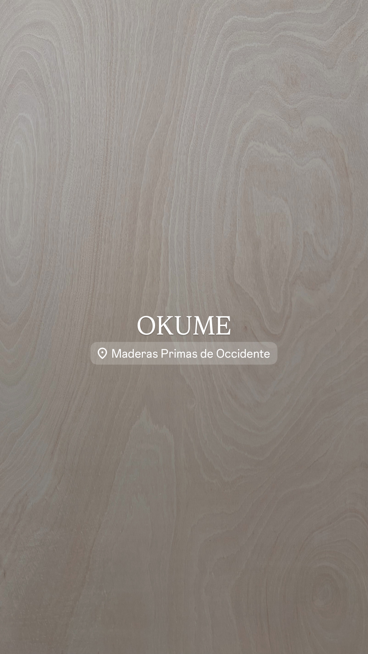 Okume B1
