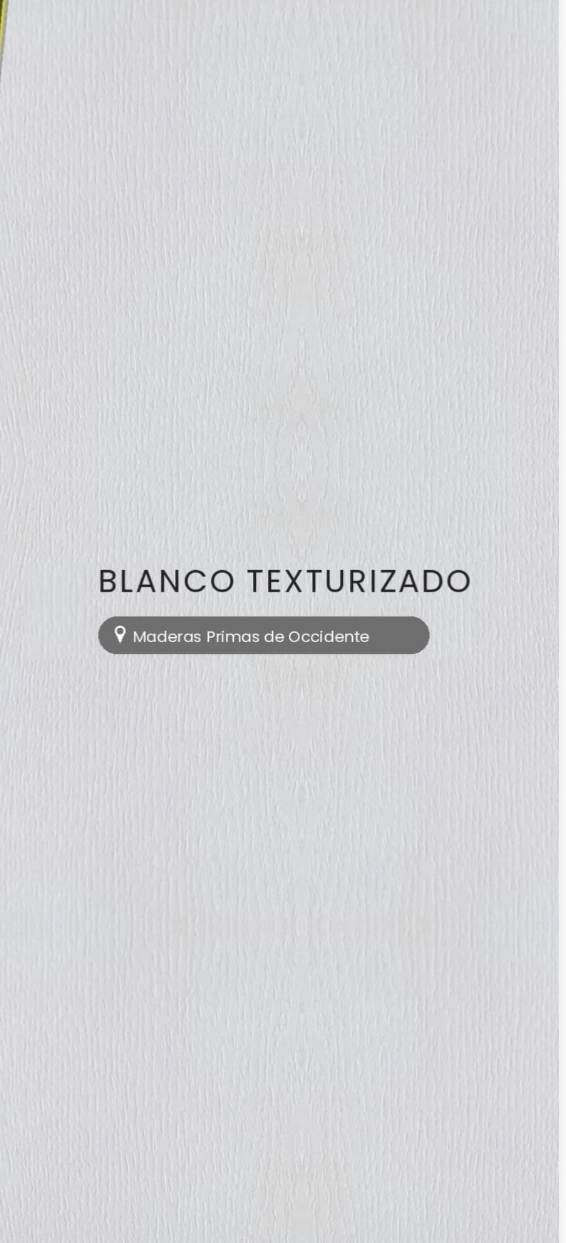 Blanco Texturizado