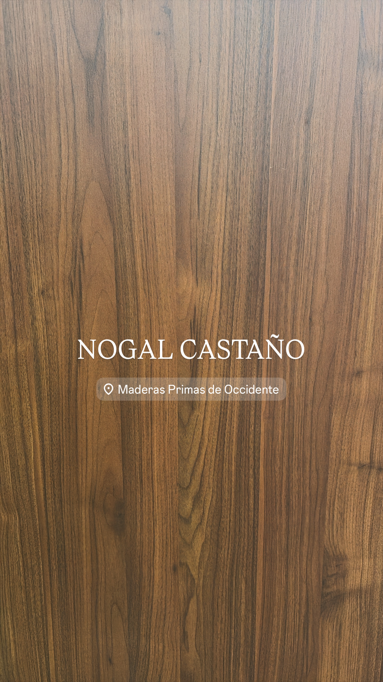 Nogal Castaño